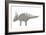 Styracosaurus Pencil Drawing with Digital Color-Stocktrek Images-Framed Art Print