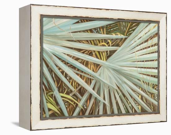 Suave Fronds-Suzanne Wilkins-Framed Stretched Canvas