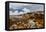 Sub-alpine vegetation on the granite rock close to the summit of Mount Kinabalu, Borneo-Paul Williams-Framed Premier Image Canvas