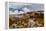 Sub-alpine vegetation on the granite rock close to the summit of Mount Kinabalu, Borneo-Paul Williams-Framed Premier Image Canvas