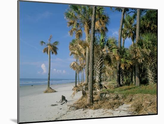 Sub-Tropical Forest and Coastline, Hunting Island State Park, South Carolina, USA-Duncan Maxwell-Mounted Photographic Print