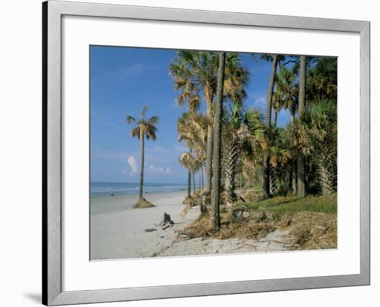 Sub-Tropical Forest and Coastline, Hunting Island State Park, South Carolina, USA-Duncan Maxwell-Framed Photographic Print