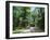 Sub Tropical Forest, Hunting Island State Park, South Carolina, USA-Duncan Maxwell-Framed Photographic Print