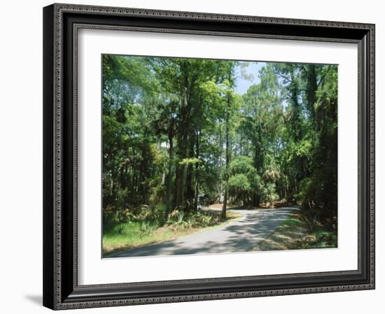 Sub Tropical Forest, Hunting Island State Park, South Carolina, USA-Duncan Maxwell-Framed Photographic Print