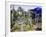 Sub-Tropical Jardin Majorelle in the Ville Nouvelle of Marrakech-Julian Love-Framed Photographic Print