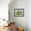 Subalpine Fir (Abies Bifolia)-Bob Gibbons-Framed Photographic Print displayed on a wall
