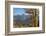 Subalpine Larches in golden autumn color. North Cascades National Park, Washington State.-Alan Majchrowicz-Framed Photographic Print