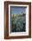 Subalpine Paintbrush and Lupine Wildflowers and Mt. Rainier at Mazama Ridge, Paradise Area-Gary Luhm-Framed Photographic Print