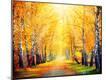 Photographic Print
