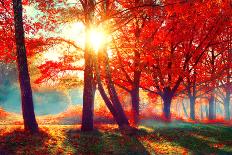 Autumn. Fall Scene. Beautiful Autumnal Park. Beauty Nature Scene. Autumn Landscape, Trees and Leave-Subbotina Anna-Photographic Print