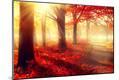 Photographic Print