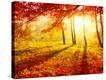 Stretched Canvas Print