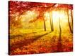 Stretched Canvas Print
