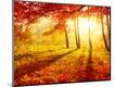 Photographic Print