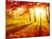 Photographic Print