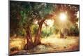 Photographic Print