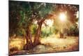 Photographic Print