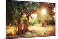 Photographic Print