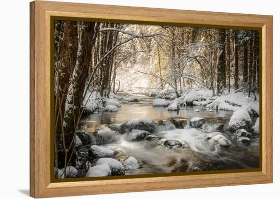 Sublimated-Philippe Sainte-Laudy-Framed Premier Image Canvas