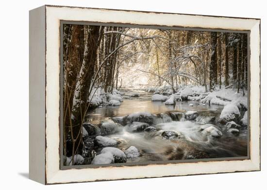 Sublimated-Philippe Sainte-Laudy-Framed Premier Image Canvas