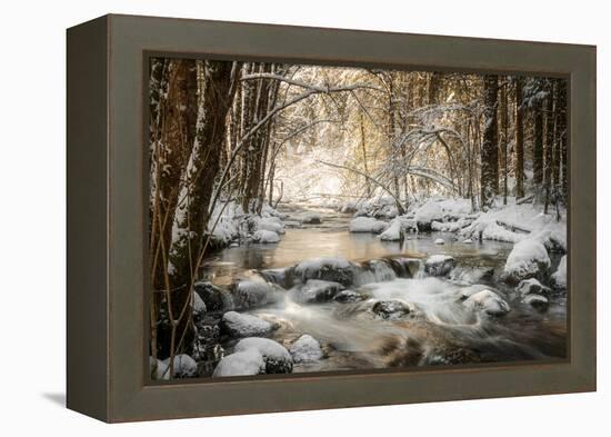 Sublimated-Philippe Sainte-Laudy-Framed Premier Image Canvas