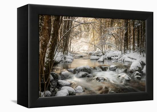 Sublimated-Philippe Sainte-Laudy-Framed Premier Image Canvas