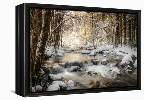 Sublimated-Philippe Sainte-Laudy-Framed Premier Image Canvas