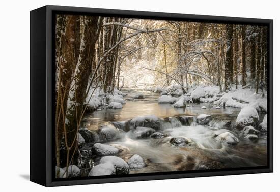 Sublimated-Philippe Sainte-Laudy-Framed Premier Image Canvas