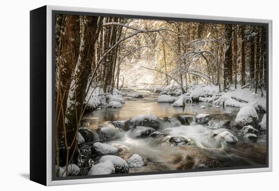 Sublimated-Philippe Sainte-Laudy-Framed Premier Image Canvas