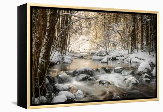 Sublimated-Philippe Sainte-Laudy-Framed Premier Image Canvas