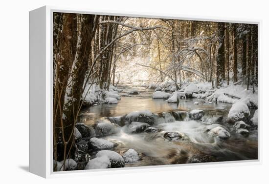 Sublimated-Philippe Sainte-Laudy-Framed Premier Image Canvas