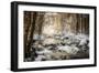 Sublimated-Philippe Sainte-Laudy-Framed Photographic Print