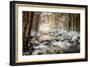 Sublimated-Philippe Sainte-Laudy-Framed Photographic Print