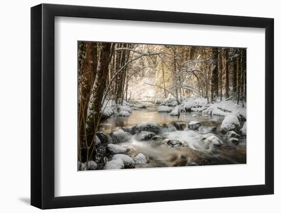 Sublimated-Philippe Sainte-Laudy-Framed Photographic Print