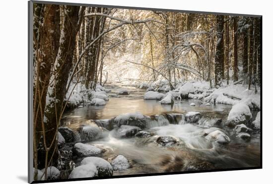 Sublimated-Philippe Sainte-Laudy-Mounted Photographic Print