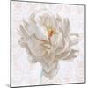 Sublime Peony I Light-Wellington Studio-Mounted Art Print