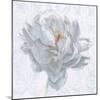 Sublime Peony I-Wellington Studio-Mounted Art Print