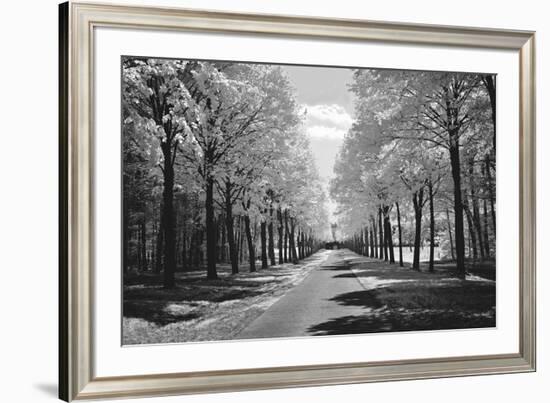 Sublime-Ily Szilagyi-Framed Art Print