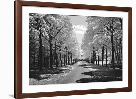 Sublime-Ily Szilagyi-Framed Art Print