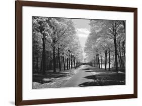 Sublime-Ily Szilagyi-Framed Art Print