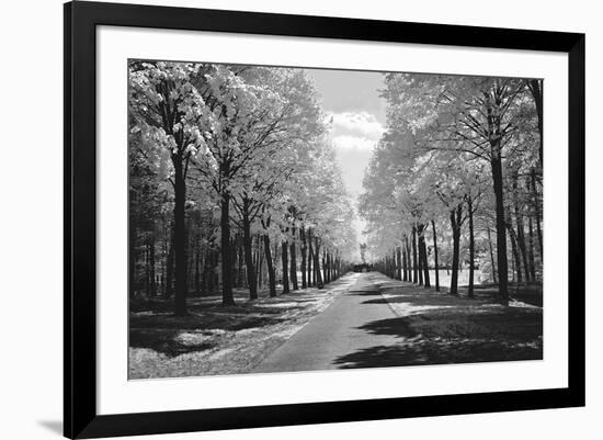 Sublime-Ily Szilagyi-Framed Art Print