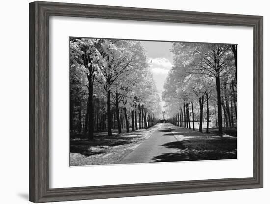 Sublime-Ily Szilagyi-Framed Giclee Print