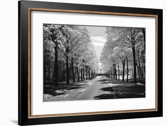 Sublime-Ily Szilagyi-Framed Giclee Print