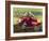 Submarine Motor Cycle-null-Framed Art Print