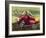 Submarine Motor Cycle-null-Framed Art Print