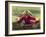 Submarine Motor Cycle-null-Framed Art Print