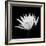 Submerged With Life #2, 2007-Hiroyuki Arakawa-Framed Photographic Print