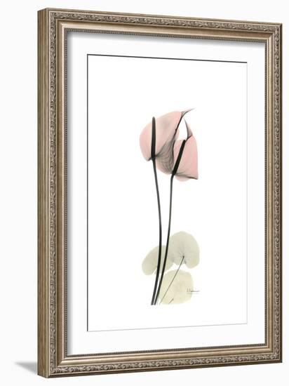 Subtle Anthurium-Albert Koetsier-Framed Premium Giclee Print