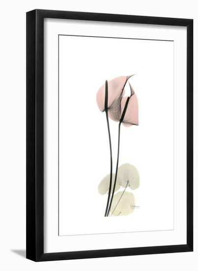 Subtle Anthurium-Albert Koetsier-Framed Premium Giclee Print