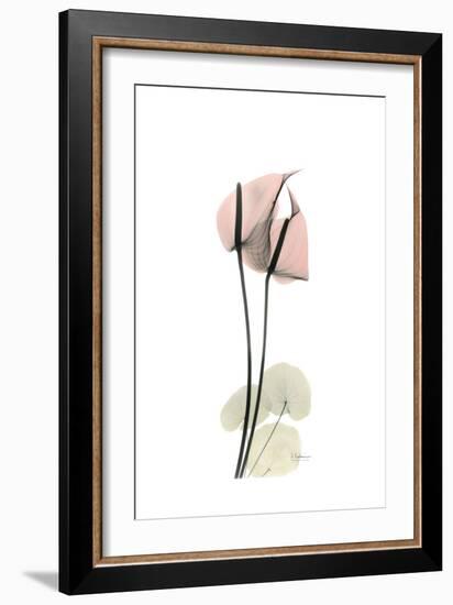 Subtle Anthurium-Albert Koetsier-Framed Premium Giclee Print